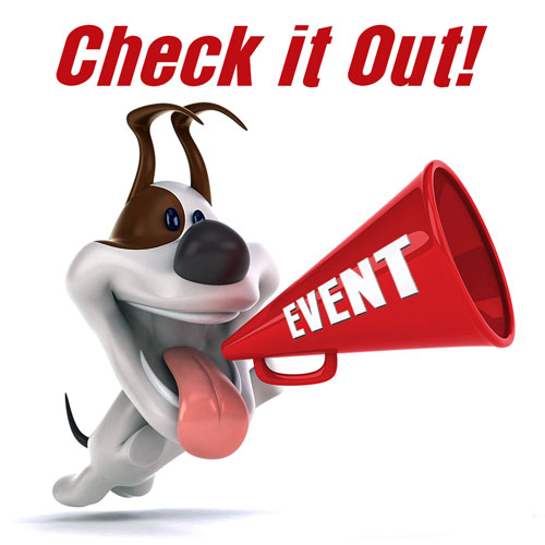 Image of Local Pet Event Lakewood Ranch Dog Social Club Meet-Up Nearby